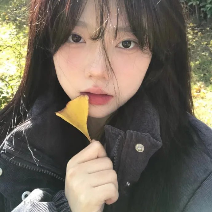 绢恋